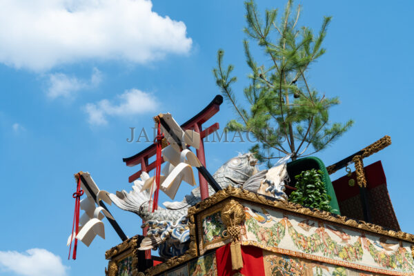 鯉山・後祭20250006